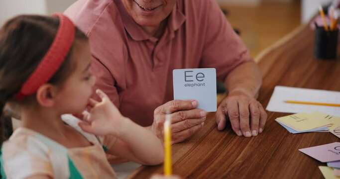 Hands, card and a man teaching a child in the living room of a home together. Education, study or homework and girl kid learning with a grandparent in an apartment for development