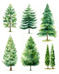 Set of watercolor trees isolated on white background.