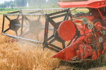Harvesting wheat in operation in the fields