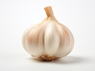 Garlic isolated on plain background. Garlic is widely used in cooking.