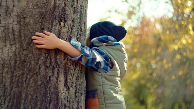 A child hugs the crown of a tree in an autumn forest. The concept of protecting the nature of people's love for trees and nature, problems of ecology. High quality 4k footage
