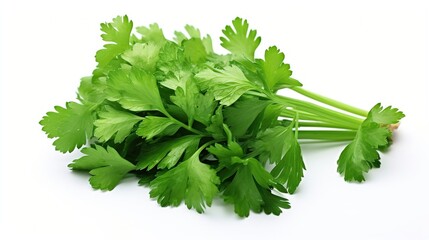 Coriander isolated on white background, Created with Generative Ai technology.