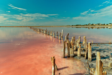 Salty pink lake in Ukraine on the Arabat Spit