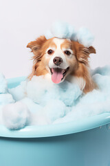Cute beige dog takes a bubble bath. Creative banner to advertise shampoo or gel pet wash, dog flea shampoo, cleanliness.