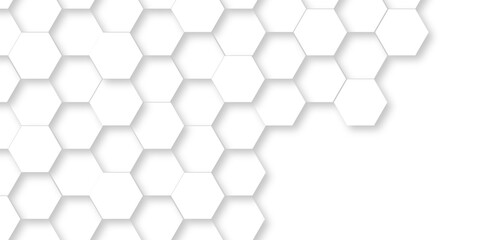 Obraz na płótnie Canvas Background with hexagons White Hexagonal Background. Luxury honeycomb grid White Pattern. Vector Illustration. 3D Futuristic abstract honeycomb mosaic white background. geometric mesh cell texture.