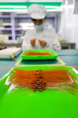 Workers are busy working on electronic product production lines, North China