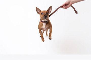 A small brown dog jumping up into the air created with generative AI technology