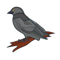 bird in  twigs illustration