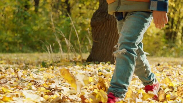 Close-up of children's feet walking on yellow leaves in the park. Walks in the park in the fall leaves in sunny weather. High quality 4k footage