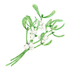 Bouquet of Mistletoe evergreen branches with leaves and white berries. Watercolor hand drawn botanical illustration of Christmas symbol. Plant for homeopathy, medicine. Elements for winter prints
