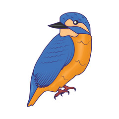 kingfisher illustration