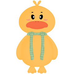 Cute duck