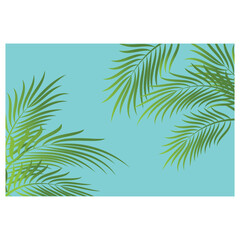 Fototapeta na wymiar Leaf palm logo vector template symbol and design