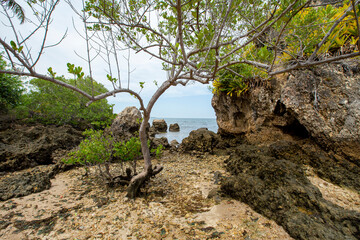 Praia de ilha com grandes rochas e vegetação nativa, no nordeste brasileiro