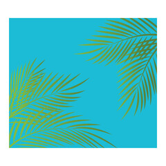 Fototapeta na wymiar Leaf palm logo vector template symbol and design