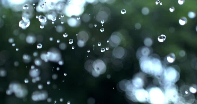 Super slow motion macro of fresh rain water drops are falling down on exotic tropical rainforest plants nature background during raining season.