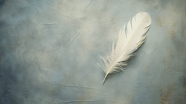 Fototapeta A lone feather delicately placed on a textured background, representing lightness and grace.