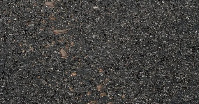 Asphalt laying. Road building asphalt paver is laying a new layer of asphalt, Road rollers drive on a new road. Roadway repair. Heavy machinery. Asphalt Road Construction