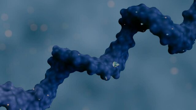 3D animation of spinning Ribonucleic acid (RNA) is a linear molecule composed of four types of smaller molecules called ribonucleotide bases