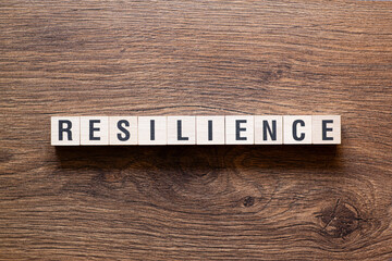 Resilience - word concept on building blocks, text