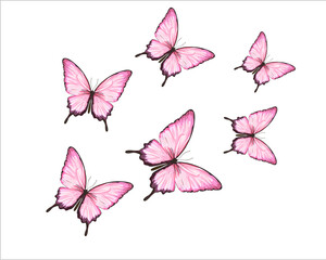 set of butterflies