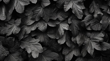 black leaves background. Generative AI.