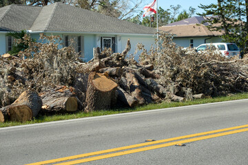 Broken tree limbs and branches on roadside from hurricane wind in Florida residential area....