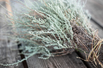 bunch of wormwood herb on a wooden table. Medicinal aromatic herbs