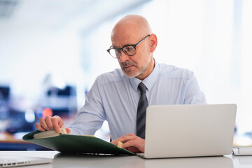 Mature businessman with laptop sitting at the office and working