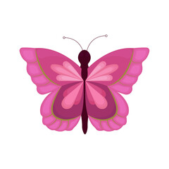 Pink butterfly isolated on white background. Vector illustration