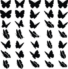 Butterfly silhouettes. Vector collection. - 684735510
