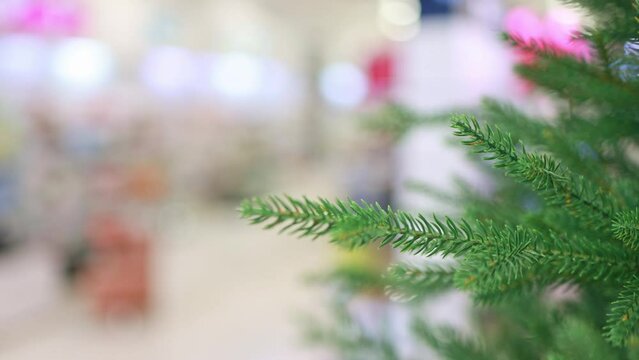Background with Christmas tree branches, bokeh and a place for text.