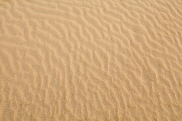 Sand ripples background texture