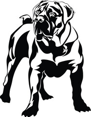 Cartoon Black and White Isolated Illustration Vector Of A Cane Corso Puppy Pet Dog Standing
