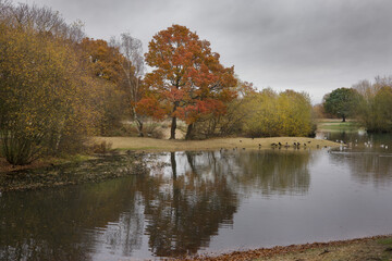 Autumn Colours around the Seven Islands Pond of Mitcham Common, London