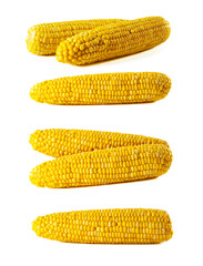 Corn isolation. Corn on a white background. Corn cob in different angles  on white.