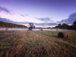 sunrise over the field