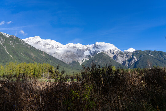Alpine landscape with green bushes and snowcovered mountains in the background