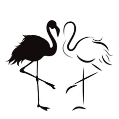 Couple of vector illustrations of flamingo on white background. Symbol of bird and nature.