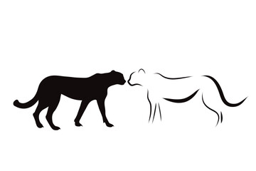 Couple of vector illustrations of cheetah on white background. Symbol of predator and wild.