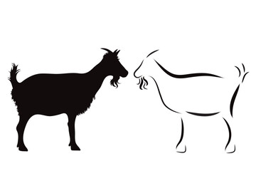 Couple of vector illustrations of goat on white background. Symbol of farm and breeding.