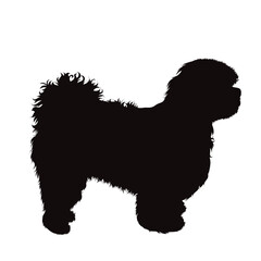 Vector silhouette of shih tzu dog on white background. Symbol of pet and breed.