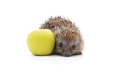 Hedgehog with an apple.
