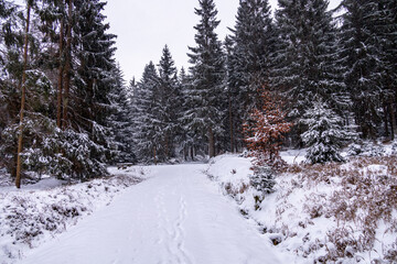 Fototapeta na wymiar Erste Winterwanderung durch den verschneiten Thüringer Wald am Bahnhof Rennsteig - Thüringen - Deutschland