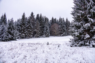 Erste Winterwanderung durch den verschneiten Thüringer Wald am Bahnhof Rennsteig - Thüringen - Deutschland