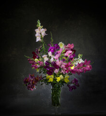 A bouquet of bright multi-colored snapdragon flowers in a transparent glass vase on a dark background.