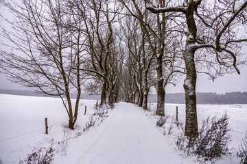 Erste Winterwanderung durch den verschneiten Thüringer Wald am Bahnhof Rennsteig - Thüringen - Deutschland