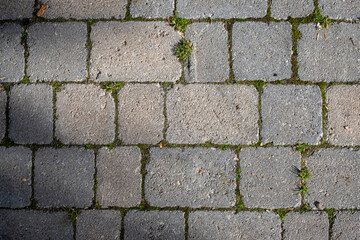 Floor texture in old gray blocks with grass between the grooves