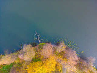 Aerial view of beautiful smooth green waters of a lake on a sunny autumn day. Bird's eye view of scenic emerald lake surrounded by forests. Clouds reflecting in the water, golden foliage in fall.