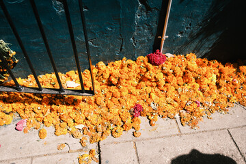 Oaxaca city decoration for the day of death 